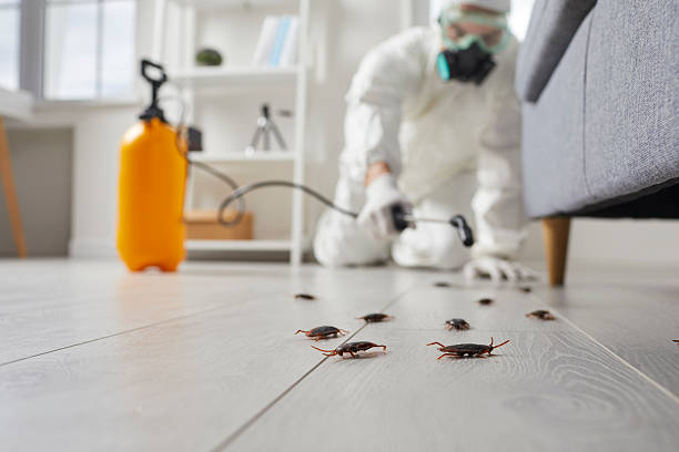 Commercial Kitchen Cockroach Control in Parsons